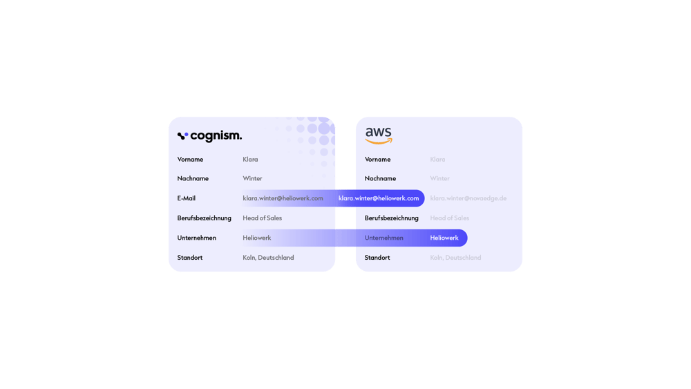 Cognism_Infographic 2