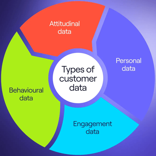 Graphic of the types of customer data