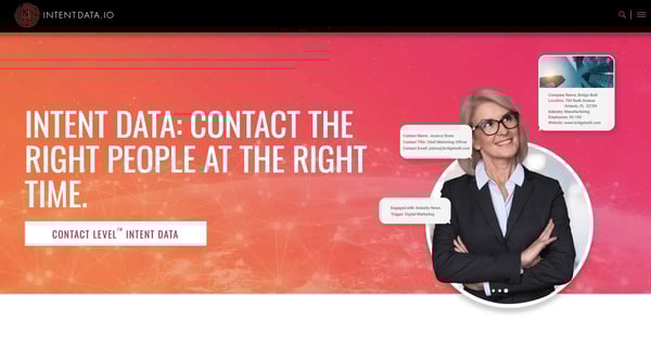 Screenshot of Intentdata.io homepage
