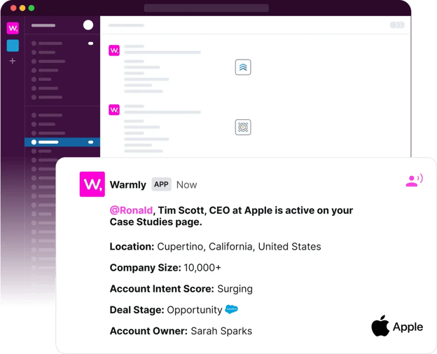 Image on a notification from an application named 'Warmly'. It informs the user that Tim Scott, the Chief Executive Officer (CEO) at Apple, is active on the user’s Case Studies page.