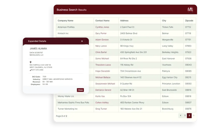 Screenshot of the Megaleads business search. Image is cream, sage green and burgundy.