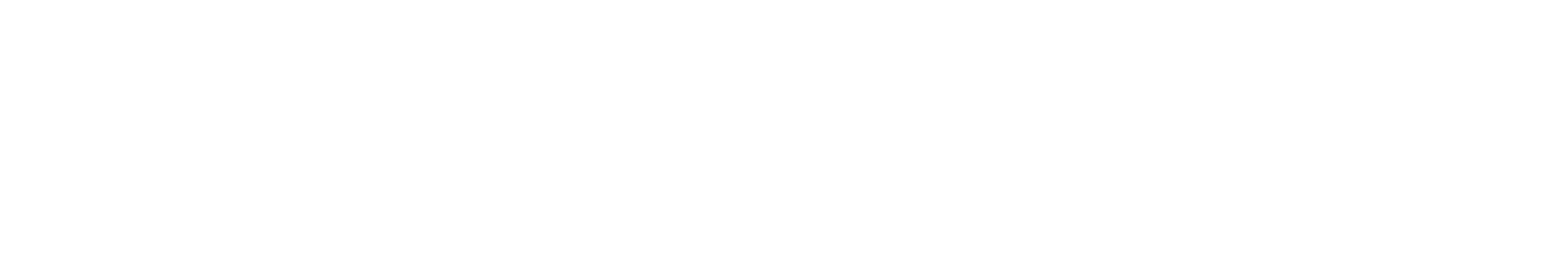 BearingPoint_Logotype_White_RGB