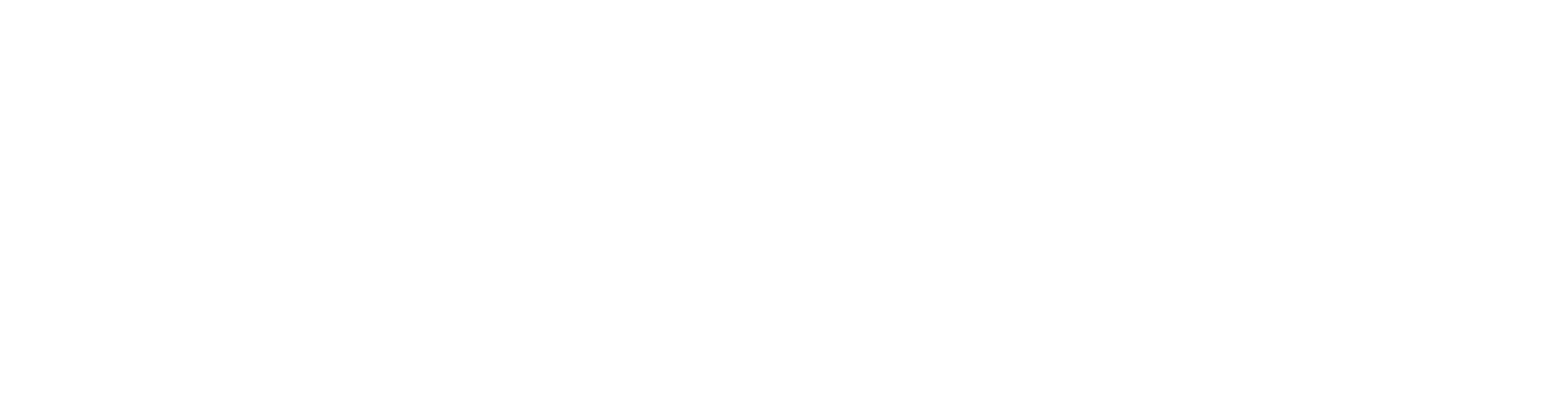 Plandek logo_white