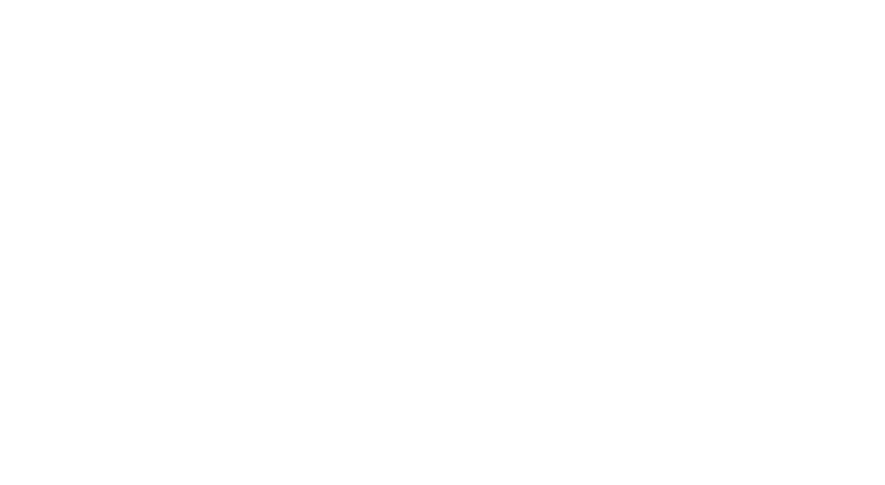 planixs logo white-2