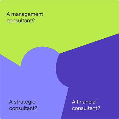 What type of consultant are you?