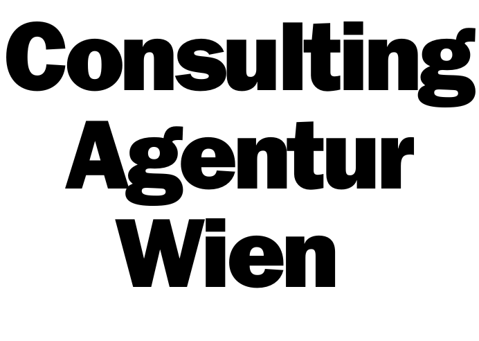 Consulting Agentur Wien