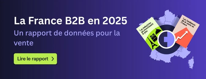 Le France B2B en 2025 (2)