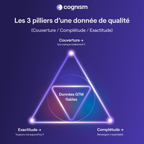 Les 3 pilliers d’une donnée de qualité pour effectuer un audit de données GTM