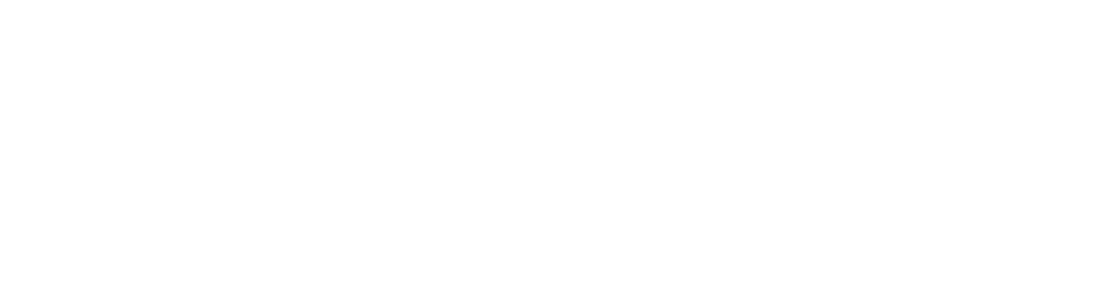 Slalom-logo-(white)