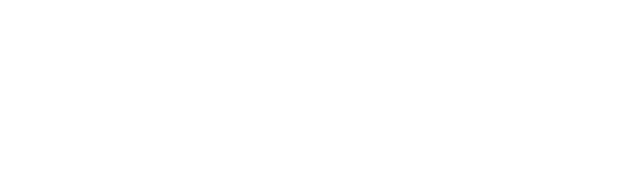 SoSafe logo white