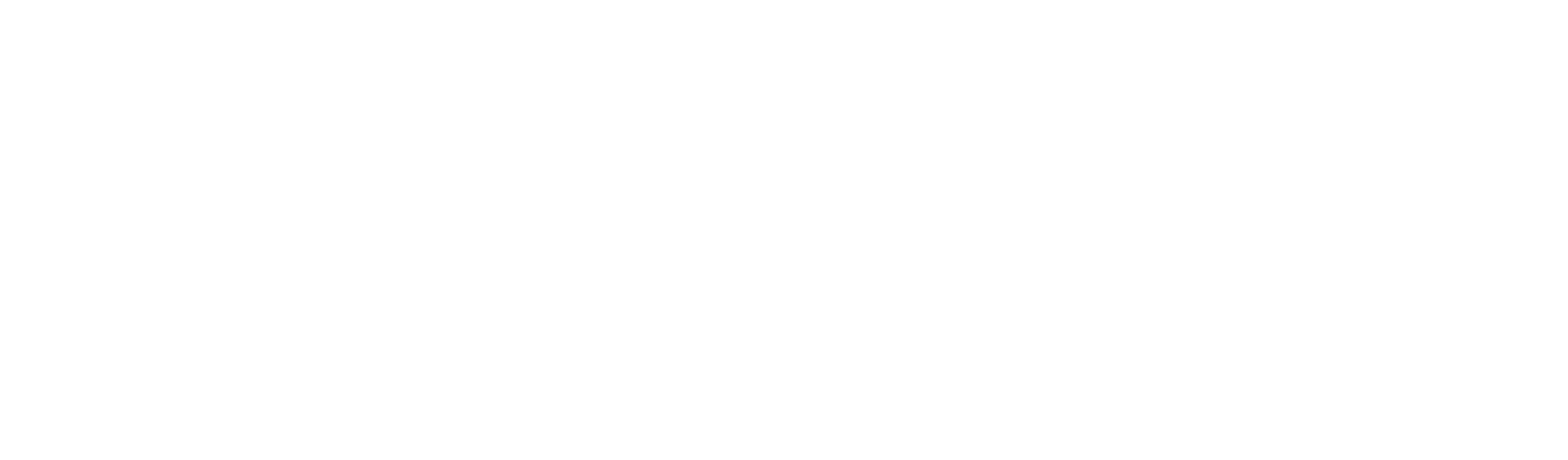 SoSafe logo white