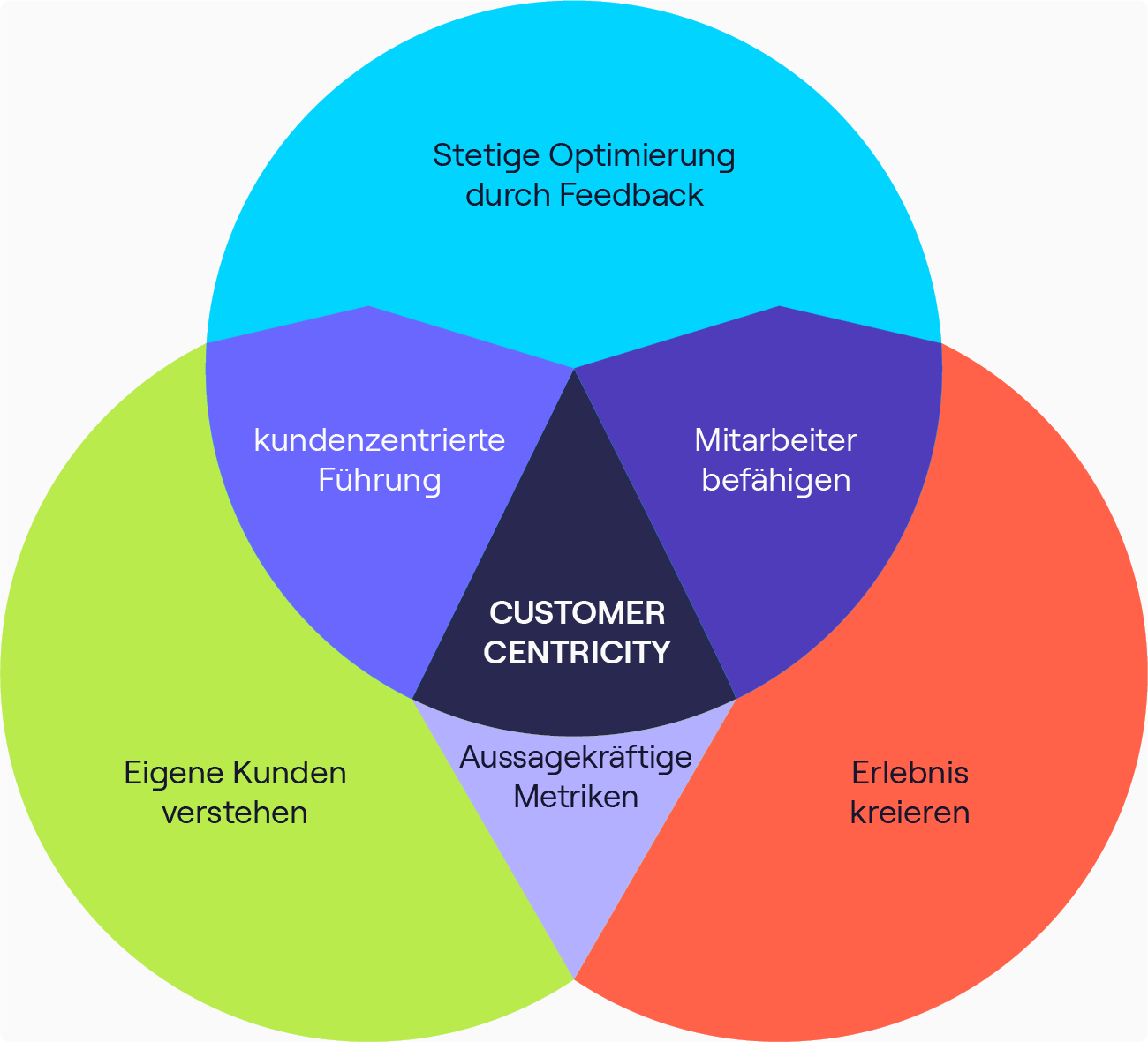  Customer Centricity setzt sich aus verschiedenen Komponenten zusammen.