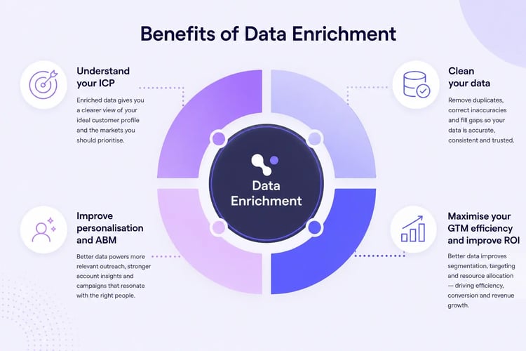 data enrichment benefits