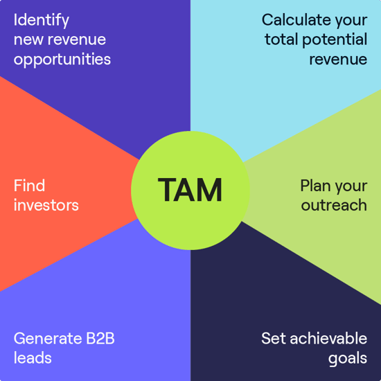 What is TAM and its benefits for B2Bs.