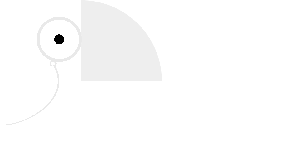 Toucan