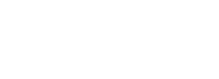 Expert.ai