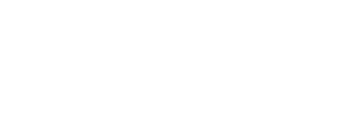 Expert.ai 