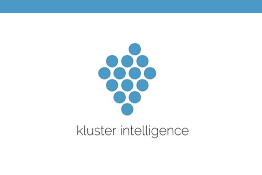 Our partner: Kluster intelligence